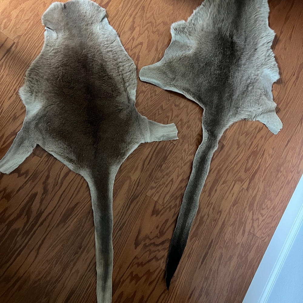 Kangaroo Fur Hide Rug (Set of 2) – Natural Soft Tanned Leather